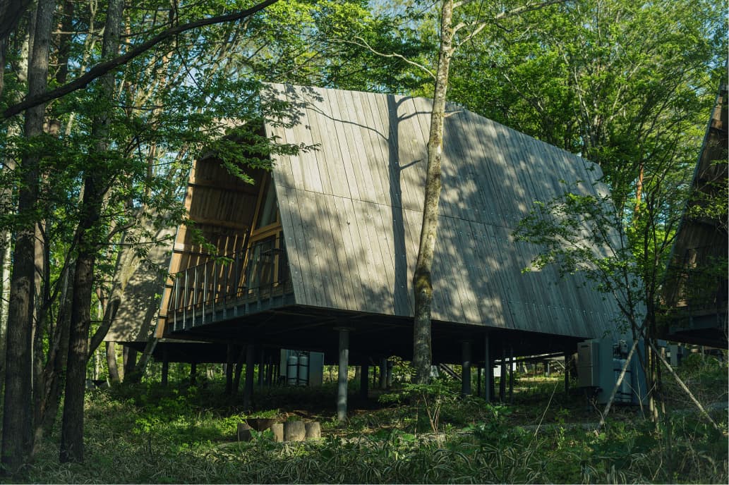 森の中に浮かぶように建てられた木製の小屋