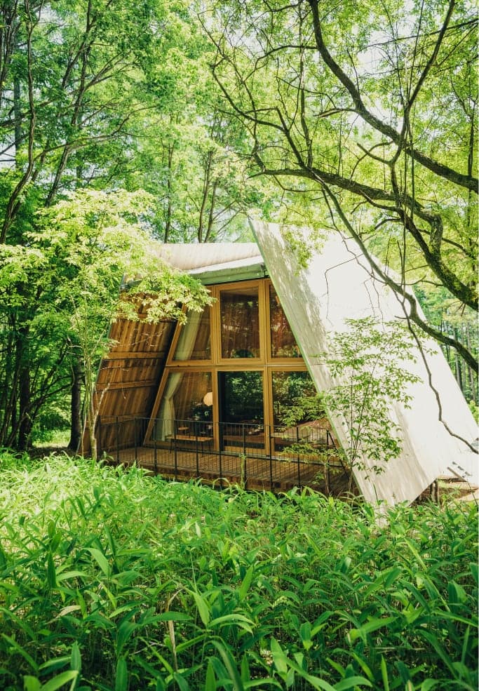 森の中に佇む木製の小屋、窓越しに緑が広がる